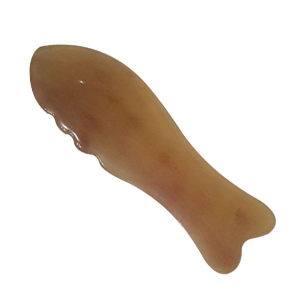 ǰ 